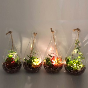LED glazen tafelblad decoratieve kunstmatige vetplanten met Globe Display vaas