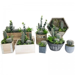 Kunstmatige Cactus Set Voor Thuis Of Kantoor In Decoratieve Succulente Pot